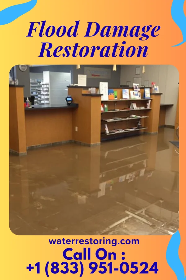 Flood Damage Restoration in Emeryville, CA