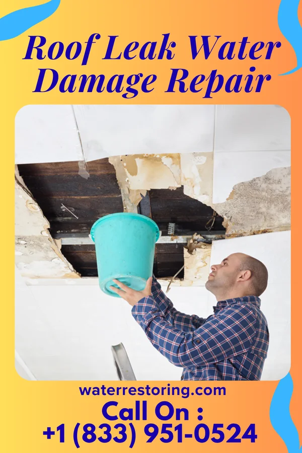 Roof Leak Water Damage Repair in Emeryville, CA