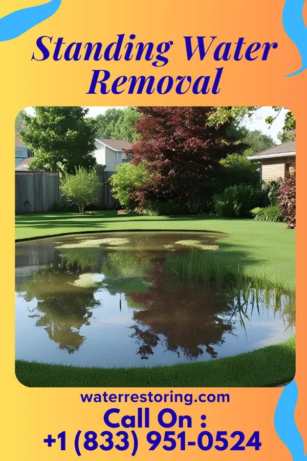 Standing Water Removal in Emeryville, CA